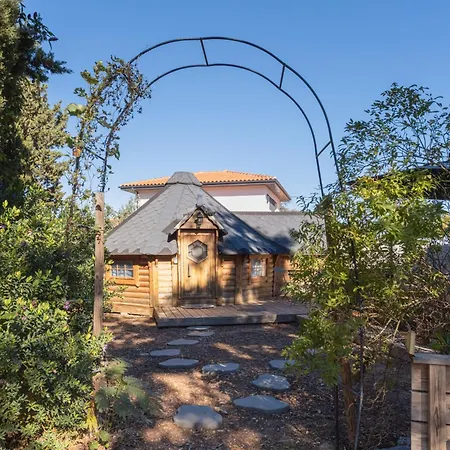 Kota Creme Catalane * Saint-André